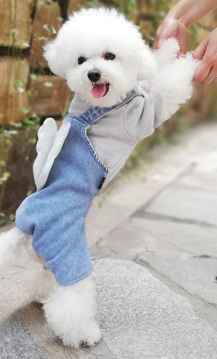 Denim Jumpsuits with Wings
