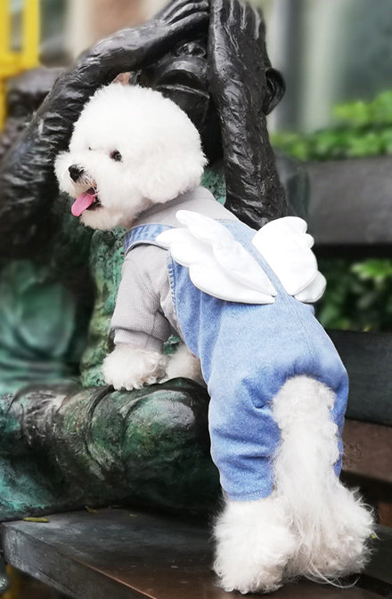 Denim Jumpsuits with Wings