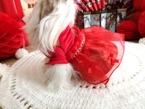 Red Festival Flared Bottom Dress