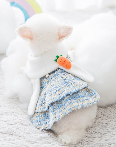 Little Bunny Dress with 3D Carrot