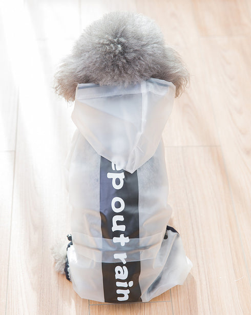 SemiTransparent Raincoat