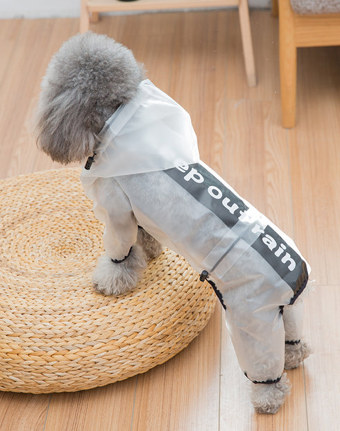 SemiTransparent Raincoat