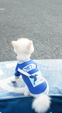 Delivery Person Costume