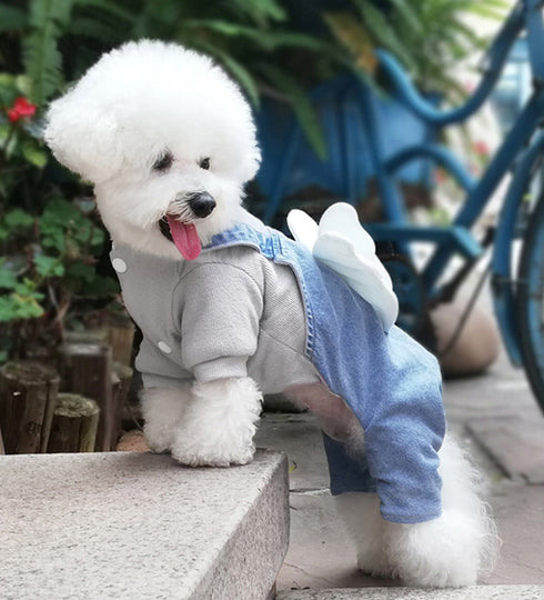 Denim Jumpsuits with Wings