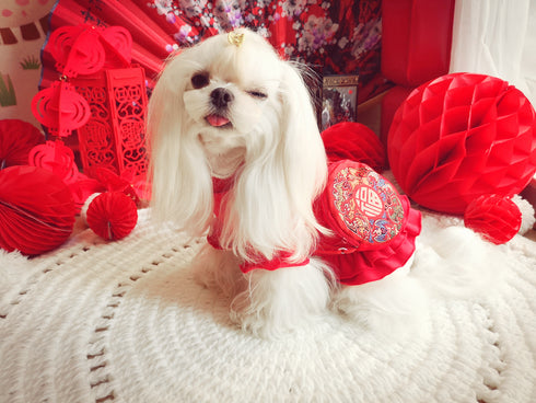 Red Festival Flared Bottom Dress