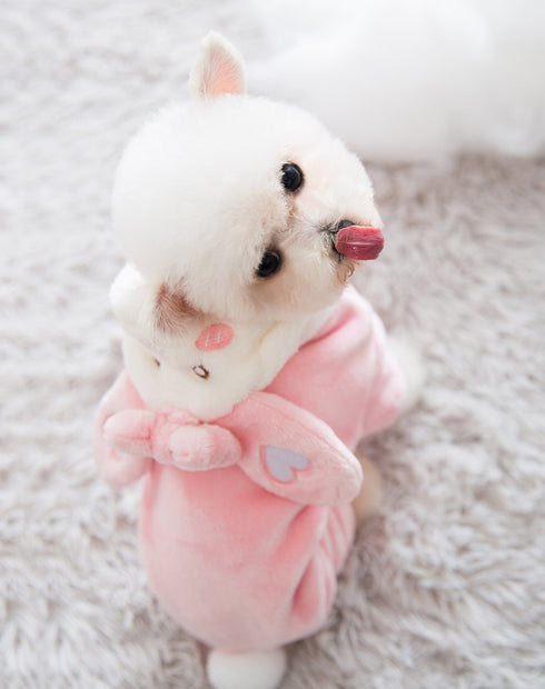 Little Bunny Fluffy Hoodie