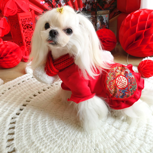 Red Festival Flared Bottom Dress