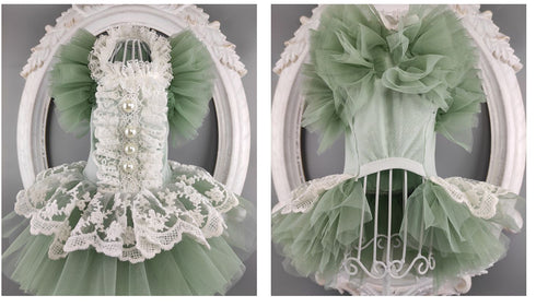 Fair Green Tulle Princess Dress