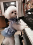Airy Blue Lace Daily Princess Dog Dress