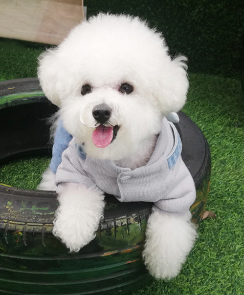 Denim Jumpsuits with Wings