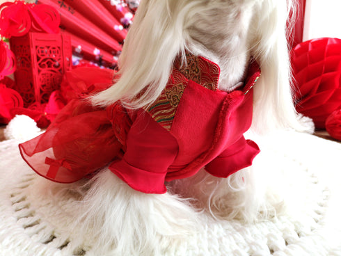 Red Festival Flared Bottom Dress