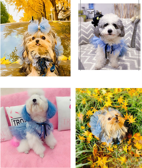 Airy Blue Lace Daily Princess Dog Dress