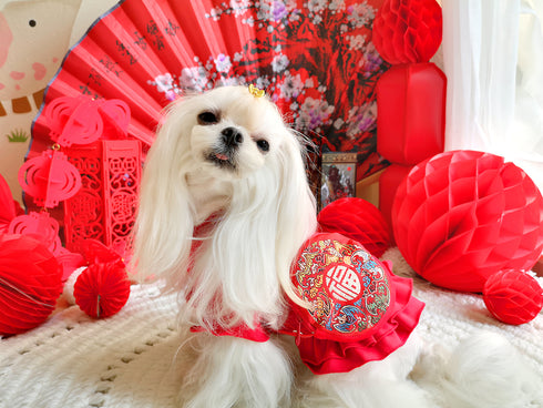 Red Festival Flared Bottom Dress