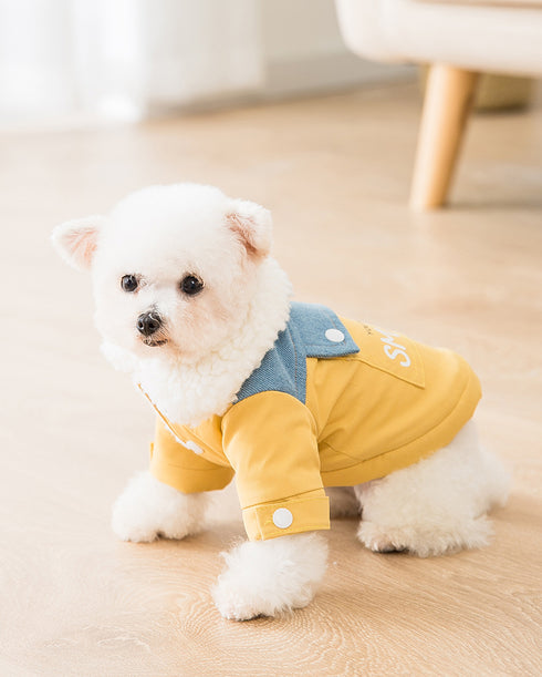 Cotton-Padded Coat with Denim Collar