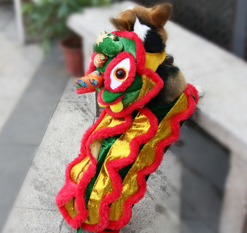 Lion Dance Costume
