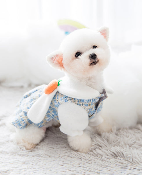 Little Bunny Dress with 3D Carrot