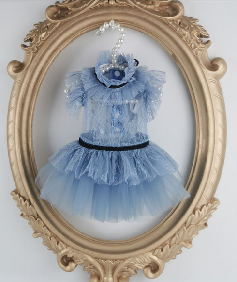 Airy Blue Lace Daily Princess Dog Dress