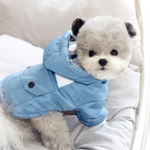 Cotton-Padded Letter Print Coat