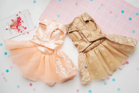 Princess Style Ceremonial Robe